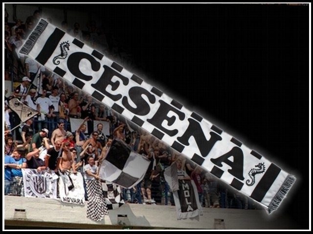 Sciarpa TNT Poliestere Doppia Stampa