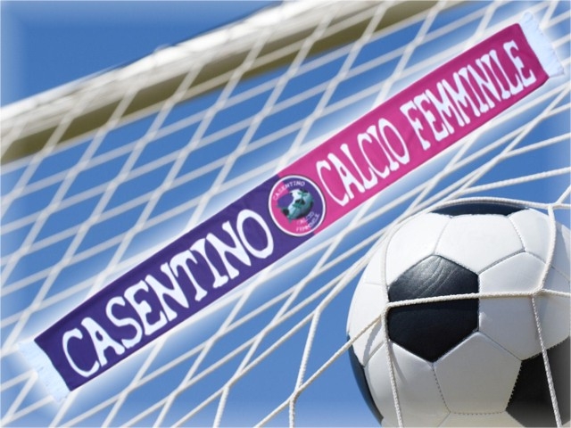 Sciarpa Raso Poliestere 8