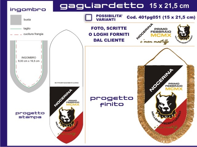 Gagliardetto Scudo Piccolo 15x21,50 cm